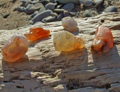 Прикрепленное изображение: zDSCF5991.jpg